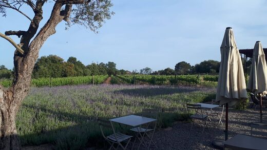 Una autèntica experiència al cor de la Costa Brava